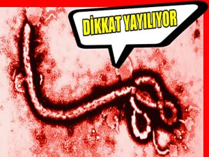 İNGİLTERE'DE BÜYÜK PANİK