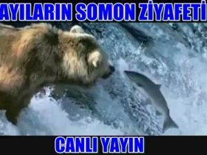 Muhteşem doğa olayı! CANLI YAYIN