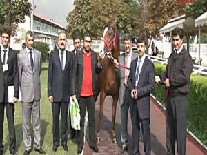 17 AT İÇİN DUDAK UÇUKLATAN PARA ÖDENDİ