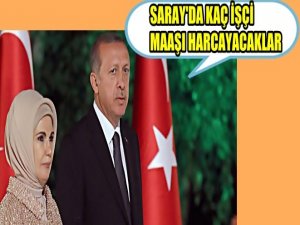 ERDOĞAN 2015'TE 250 BİN İŞÇİNİN MAAŞINI HARCAYACAK