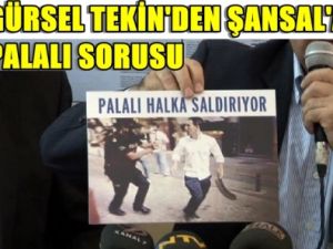 Palalı Olayında İlginç Gelişmeler