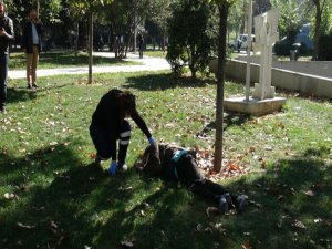 GEZİ PARKI'NDA ÖLÜ BULUNDU