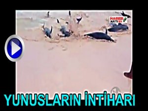 YUNUSLARIN TOPLU İNTİHARI