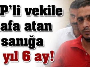 BDP'li Birdal'a kafa atan sanığa 2 yıl 6 ay