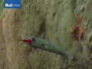 BALIĞIN SIRTINA BIÇAK SAPLAYIP GÖLE SALDI