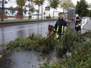 ŞİDDETLİ FIRTINA AĞAÇLARI DEVİRDİ