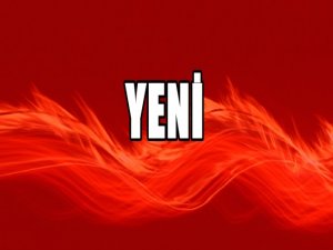 'KEDİCİKLER'İ TACİZDEN İFADEYE ÇAĞRILDI