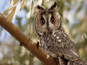 ODTÜ'DEN MÜTHİŞ BİR KİTAP