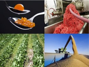 YEDİĞİMİZ ÜRÜNLERDE NELER SAKLI?