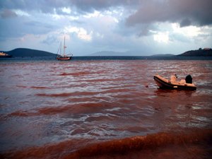 BODRUM'DA DENİZ KAHVERENGİYE BOYANDI-GÖRÜNTÜLÜ HABER