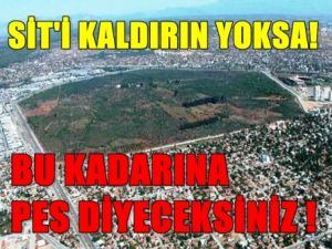 Bu Kadarına Pes; Başbakanla Tehdit Edip Sit Kaldırma Küstahlığı