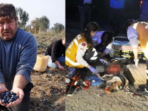 ZEYTİN AĞAÇLARI KESİLEN KÖYLÜ TRAFİK KAZASINA KURBAN GİTTİ