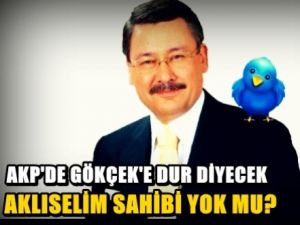AKP'de Gökçek'e dur diyecek aklıselim sahibi kimse yok mu?