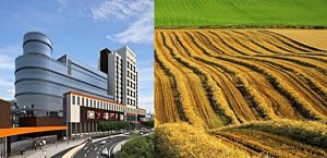 İŞTE AKP İKTİDARININ TARIM ALANI FACİASI