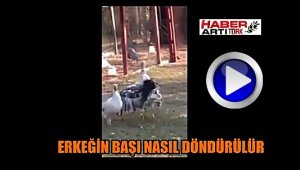 ERKEĞİN BAŞI NASIL DÖNDÜRÜLÜR