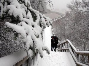 TÜRKİYE KAR ALTINDA