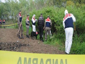 MEĞERSE DONMAMIŞLAR