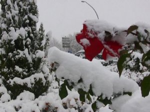 18 İLÇESİNDE OKULLAR TATİL EDİLDİ