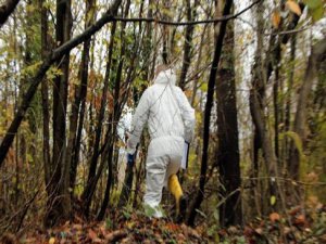 İSTANBUL'DA VAHŞİ CİNAYET