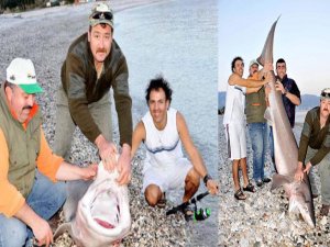 OLTA İLE DEV KÖPEK BALIĞI YAKALADILAR