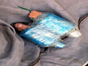 AYDIN'DA ÜZERİNDE EL BOMBASI TAŞIYAN BİR KİŞİ YAKALANDI