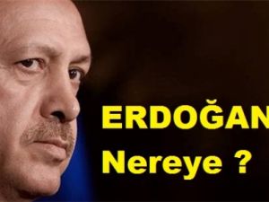 ERDOGAN NEREYE ?
