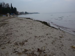 TEKİRDAĞ'DA DEPREM PANİĞİ