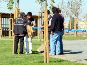 Şehrin Göbeğinde Roket Atar