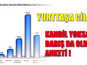 En Önemli Aktör Erdoğan, 'Esas Oğlan' Abdullah Öcalan Anketi !