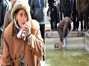 ZABITA KUŞ YEMİ SATAN YAŞLI KADININ PARASINI HAVUZA ATTI