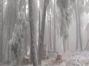 İZMİR'DE KUZEY KUTPU GÖRÜNTÜLERİ ŞOK ETTİ