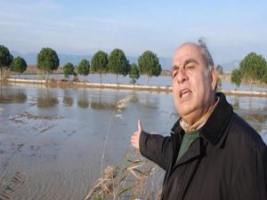 AYDIN'DA PAMUK TARLALARINDA BALIKLARI YÜZÜYOR