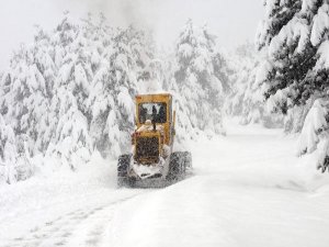 BİNDEN FAZLA YOL KAPANDI ONBİNLERCE VATANDAŞ YOLDA KALDI