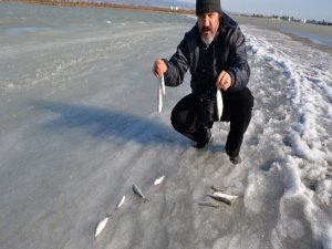 GÖKSU DELTASINDA BALIKLAR BİLE DONDU