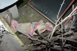 DAMDA ÇIPLAK  BEBEK CESEDİ BULUNDU