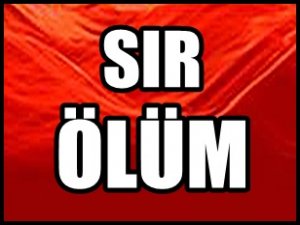 ÇİNLİ İŞ ADAMININ SIR ÖLÜMÜ