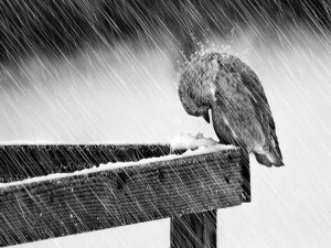 METEOROLOJİ'DEN KUVVETLİ YAĞIŞ UYARISI