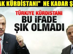 Tutturdular Bir "Kürdistan" Türküsü