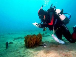 Akdeniz'i korumak için 21 ülke Antalya'da buluşuyor