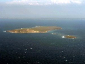 SAHİBİNDEN SATILIK TAVŞAN ADASI