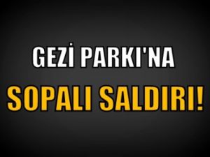 Gezi Parkı'na Saldırı!