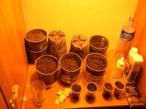 UYUŞTURUCU OPERASYONUNDA İLGİNÇ MANZARA