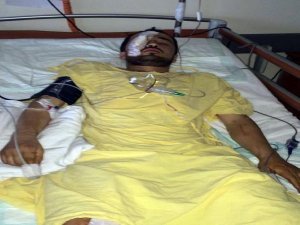 YABAN DOMUZU DEHŞETİ