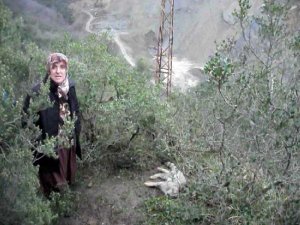 DOĞADA ENDER RASTLANAN OLAY