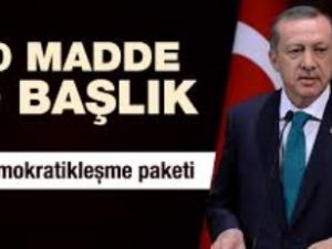 Gezi sonrası süreç ve demokratik paket