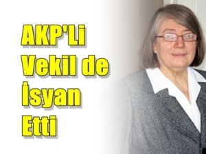 AKP'li Vekil'de isyan Etti