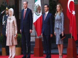 ERDOĞAN'IN DIŞ GEZİ İPTALİNE ŞOK YORUMLAR