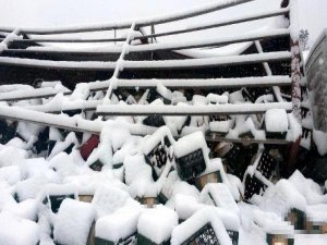 BİRA YÜKLÜ TIR DEVRİLİNCE POLİS NÖBET TUTTU