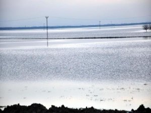 AMİK OVASI GÖLE DÖNDÜ