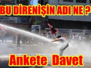 Bu Direnişin Adı Ne ?